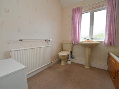 Picture 14
